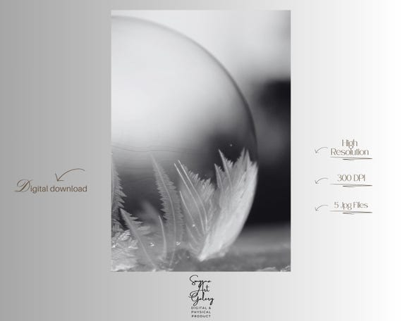 Frozen Bubble Frost Crystals Macro Photography Black And White Poster