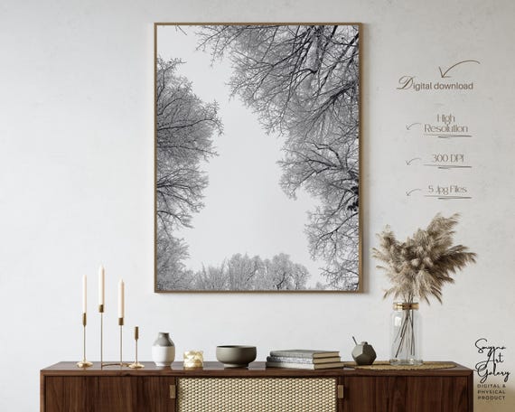 Snowy Tree Canopy Wall Art Minimal Black White Winter Forest Looking Up Branches Monochrome Poster