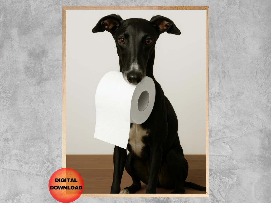Funny Black Greyhound Bathroom Poster Print