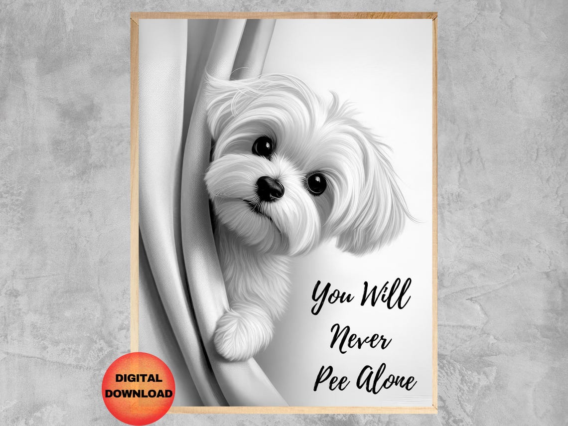 Maltese Puppy You Will Never Pee Alone Funny Bathroom Wall Poster