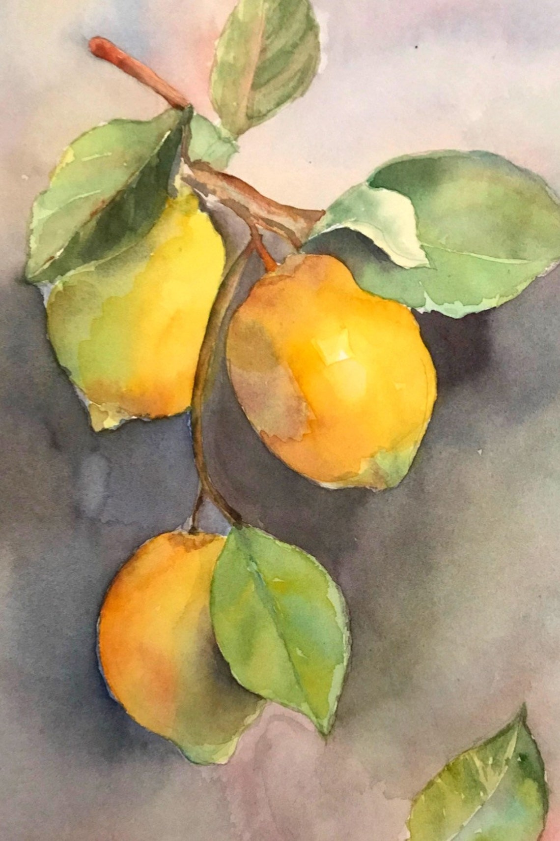 Ripe Lemons on Branch Watercolor Fruit Still Life Art Poster - Image 2