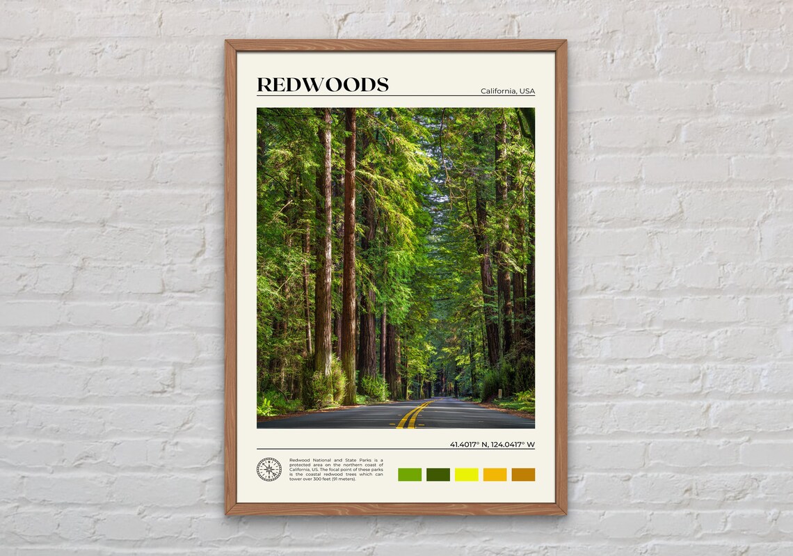 Redwoods Real Photo Art Print, California Travel Poster