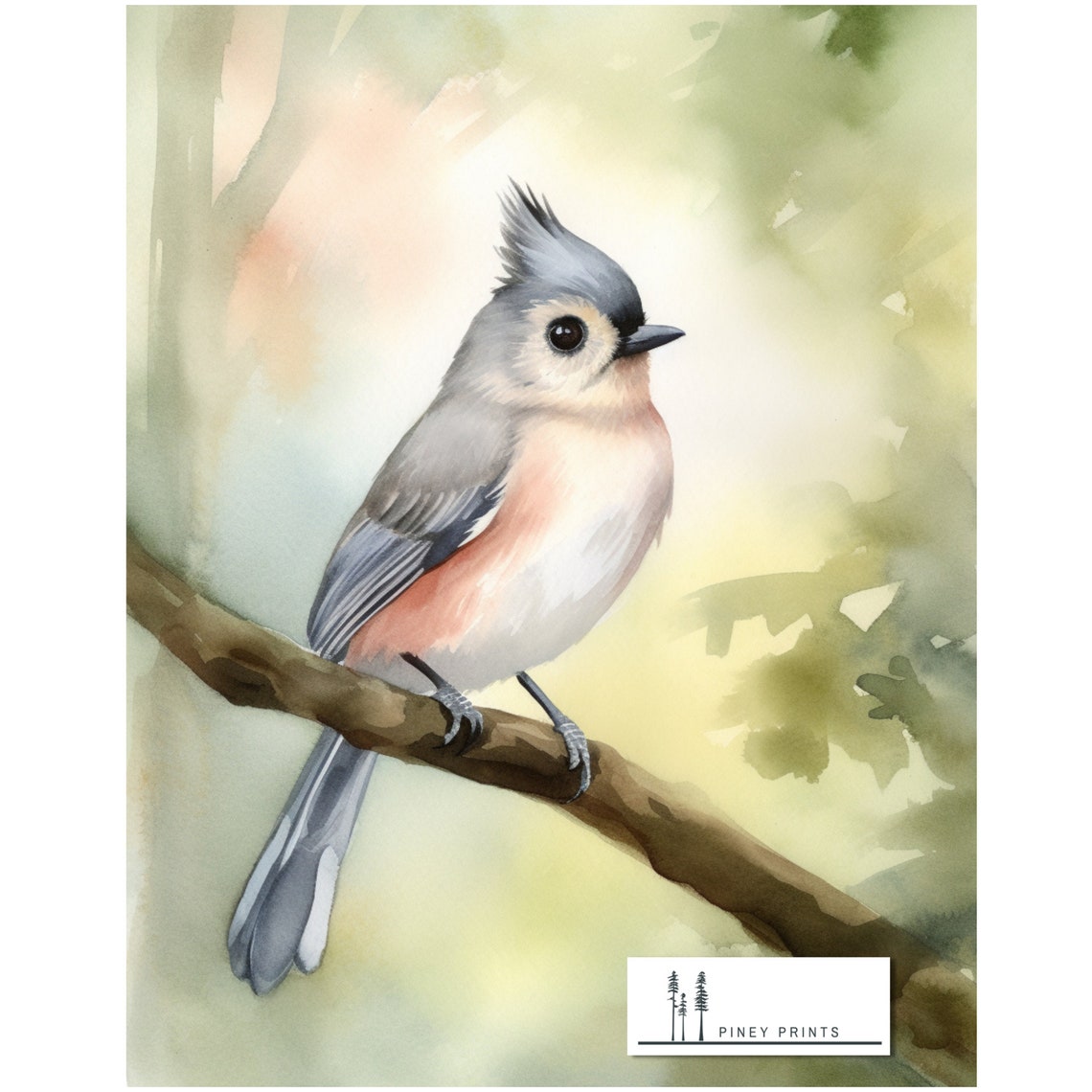 Tufted Titmouse Watercolor Perched Branch Cute Songbird Wall Poster - Image 3