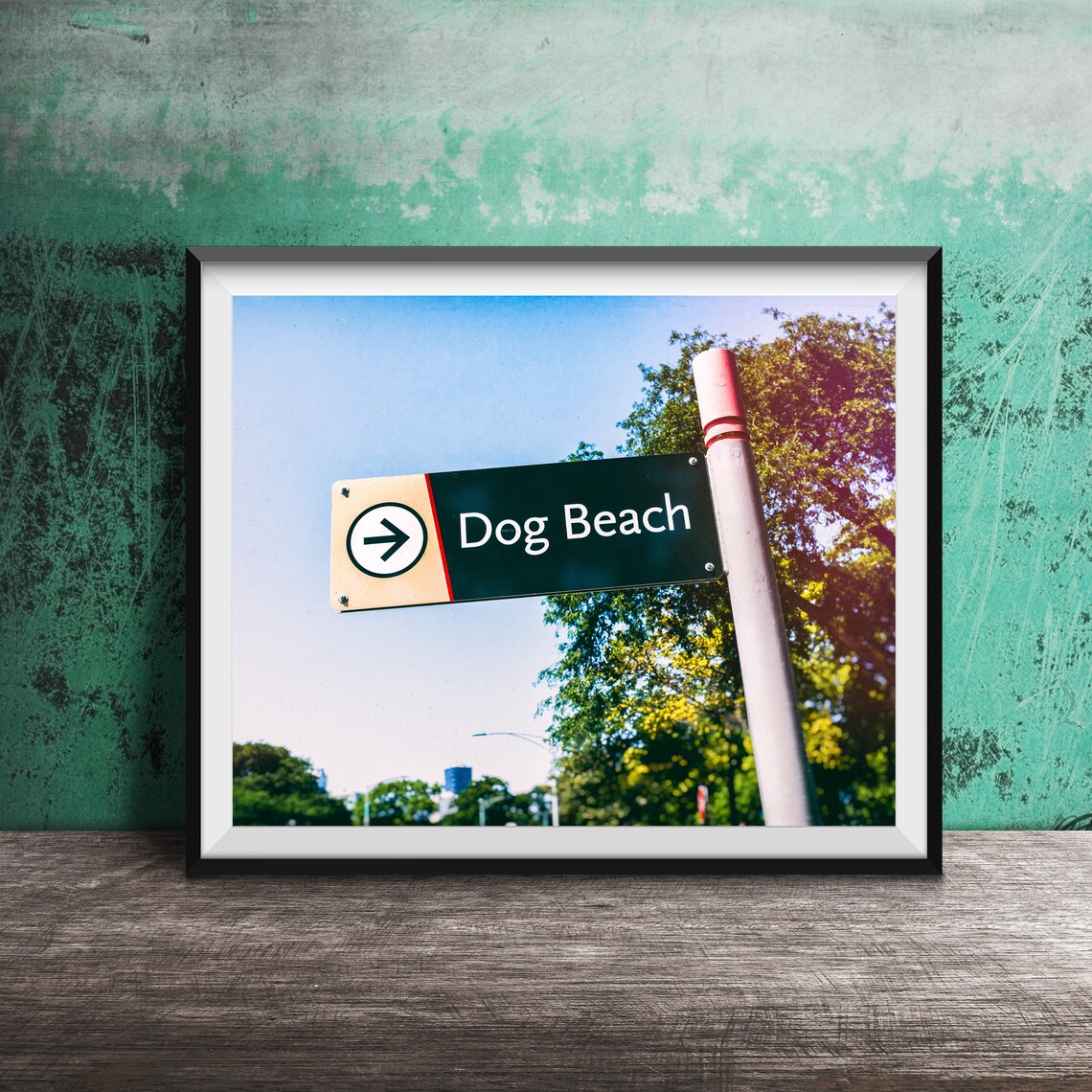 Montrose Dog Beach Chicago Photography Wall Art Print