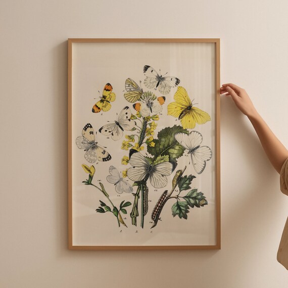 Vintage Butterfly Wildflower Art Print, Floral Decor