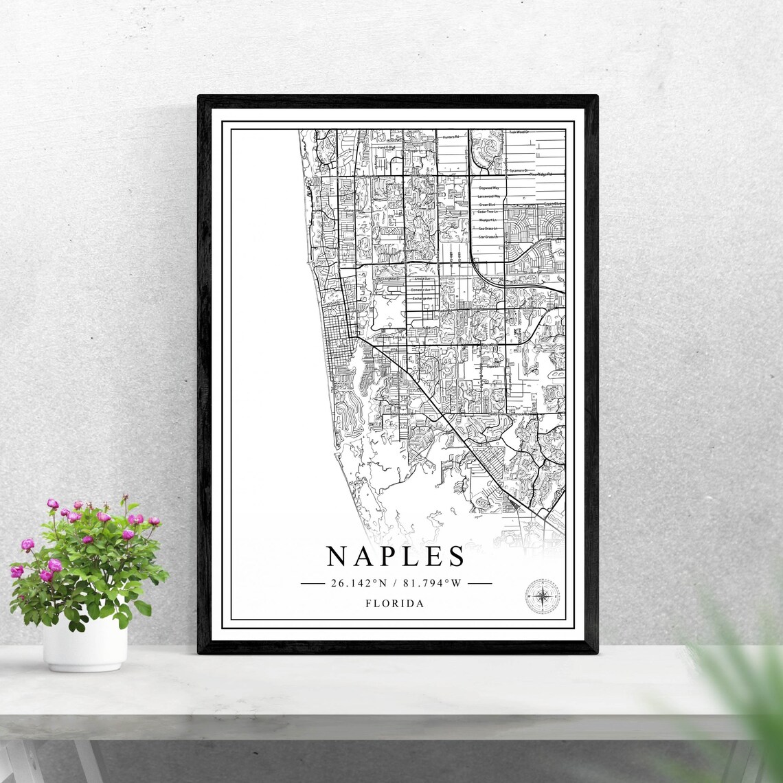 Naples Florida Gulf Coast City Street Map Black White Art Poster