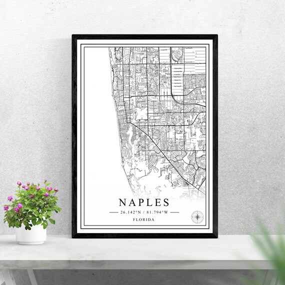 Naples Florida Gulf Coast City Street Map Black White Art Poster