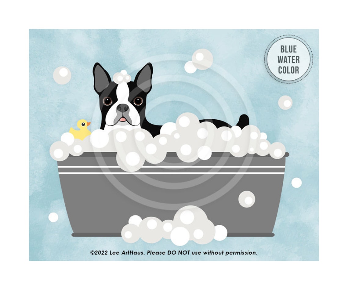 Boston Terrier Gray Tub Bubble Bath Duck Blue Watercolor Dog Poster