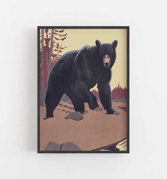 Black Bear Vintage Wildlife Illustration Muted Forest Animal Wall Art