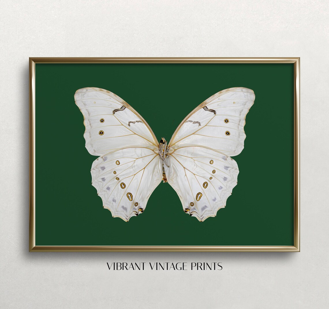 Moth Wall Art Vintage Art Print, Dark Moody Decor - Image 3