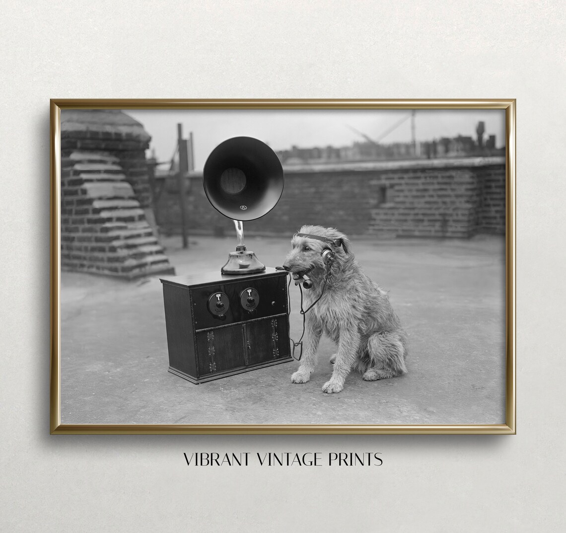 Funny Dog Listening to Music, Black and White Wall Art Print