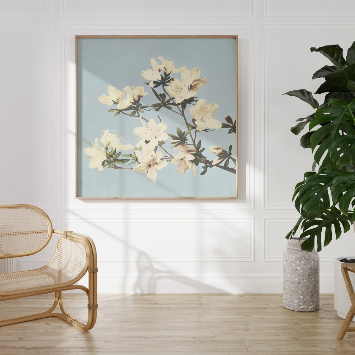 White Azaleas Botanical Pale Blue Background Vintage Floral Art Print