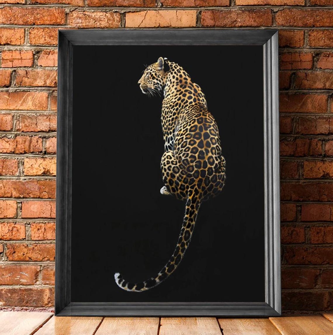 Leopard Sitting Against Black Background Dramatic Big Cat Photo Poster - Image 2