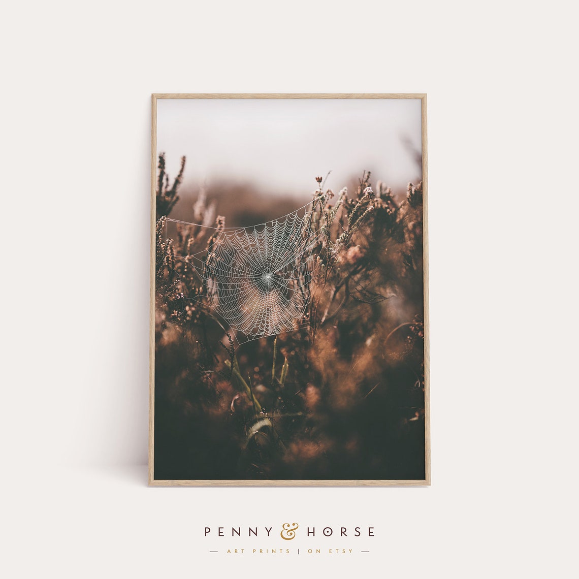 Delicate Spider Web Among Wildflowers Nature Photography Art Poster