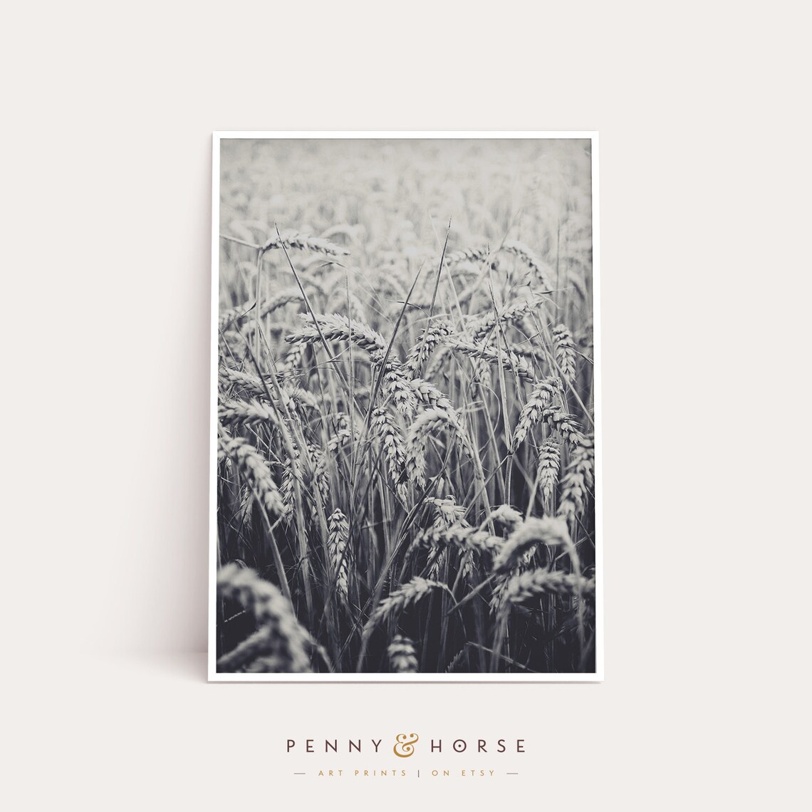 Black and White Wheat Field Fine Art Photography Landscape Poster