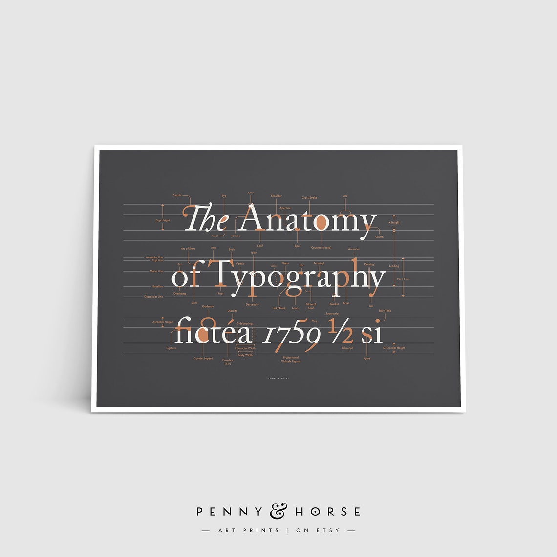 Anatomy Of Typography Font Terms Graphic Designer Chart Poster