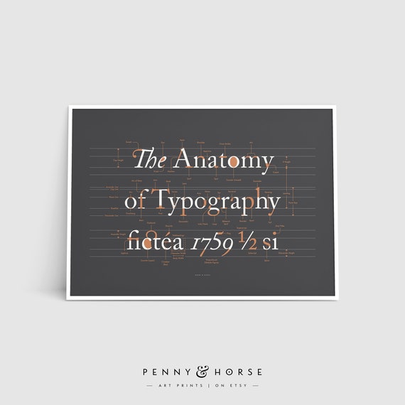 The Anatomy Of Typography Poster Font Design Typography Terms Type Poster Lettering Style Graphic Designer Gift Studio Art