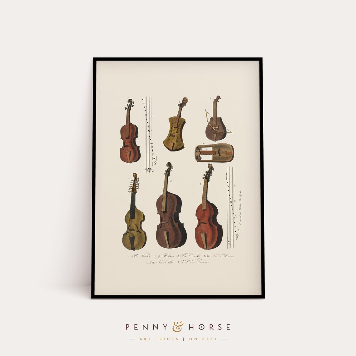 Vintage Stringed Instruments Violin Chart Antique Music Illustration Poster