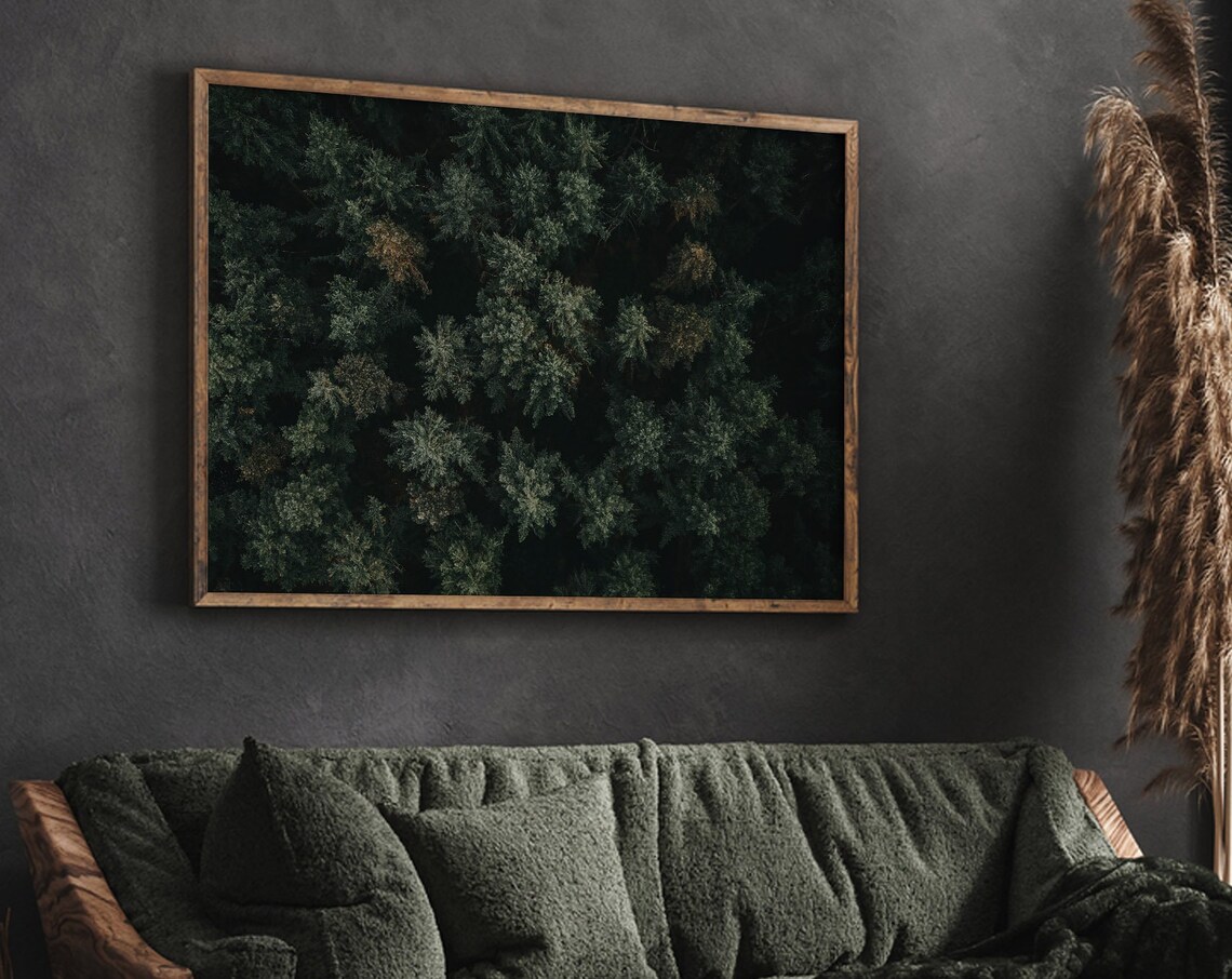 Dark Green Forest Aerial Photography Pine Treetop View Nature Poster