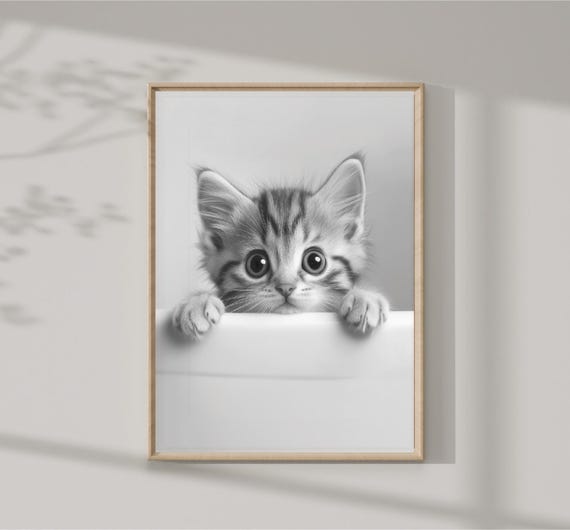 Cute Baby Cat In Tub Wall Art Cat Photo Cat Art Bathroom Art Print