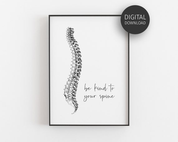 Chiropractor Poster Chiropractic Gift Office Decor For Chiropractor Spine Anatomy Print Spine Whisperer Chiro Office Wall Art