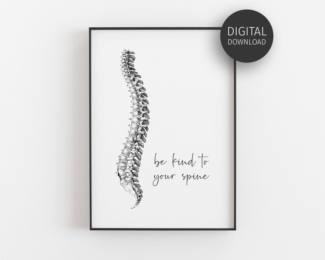 Be Kind To Your Spine Anatomy Illustration Chiropractor Gift Poster