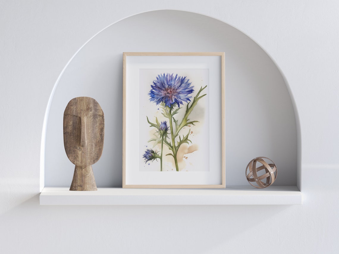 Blue Cornflower and Buds Watercolor Rustic Botanical Art Poster - Image 3