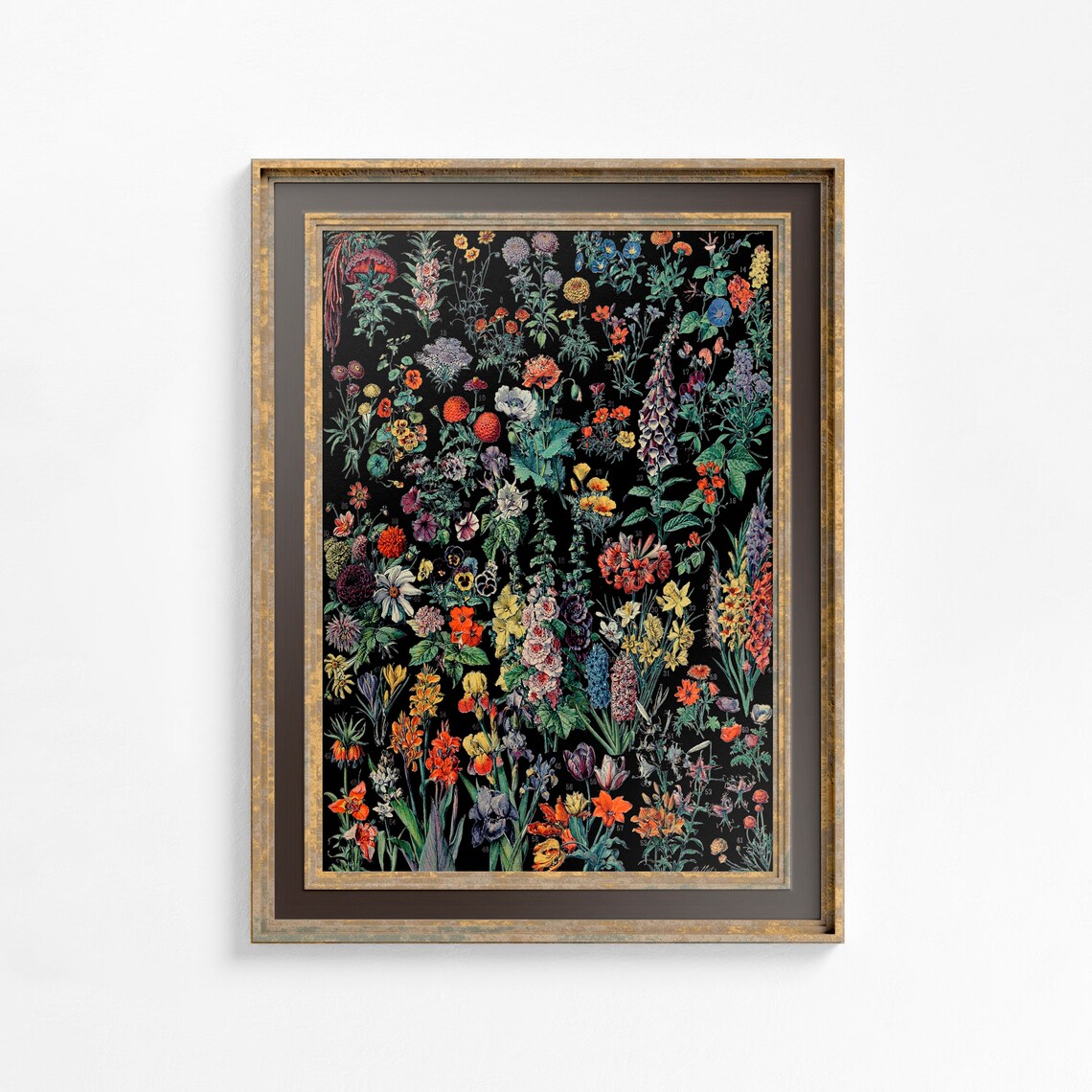 Art Nouveau Black Floral Art Print, Alphonse Millot