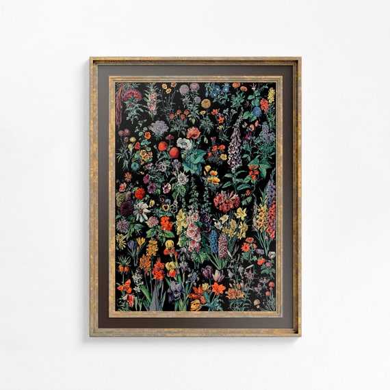 Art Nouveau Black Floral Art Print, Alphonse Millot