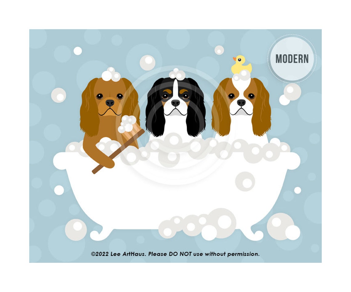 Three Cavalier King Charles Spaniels Bubble Bath Duckies Poster