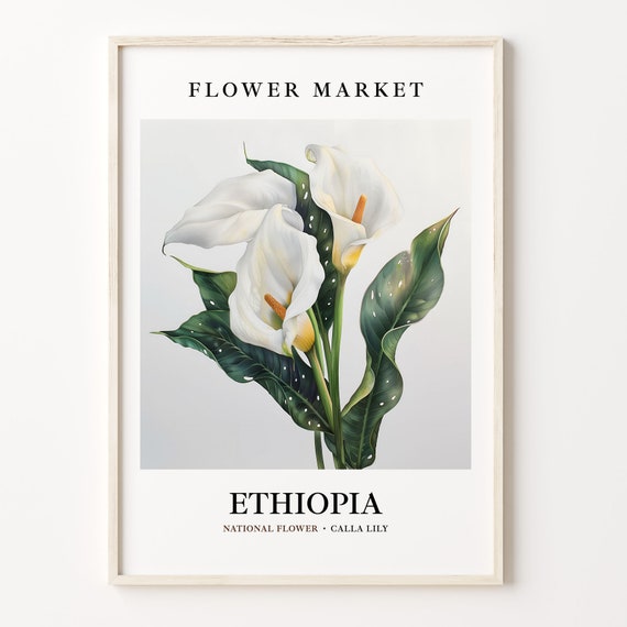 Ethiopia Flower Market Art Print Calla Lily 1960s Wall Art Neutral Botanical Pastel Artwork Vintage Floral Decor C31 595