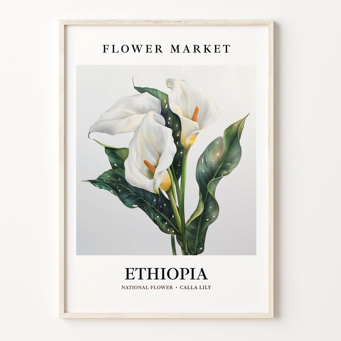 Ethiopia Calla Lily National Flower Market Botanical Art Poster
