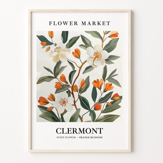Clermont Florida Flower Market, 1960s Botanical Art Print