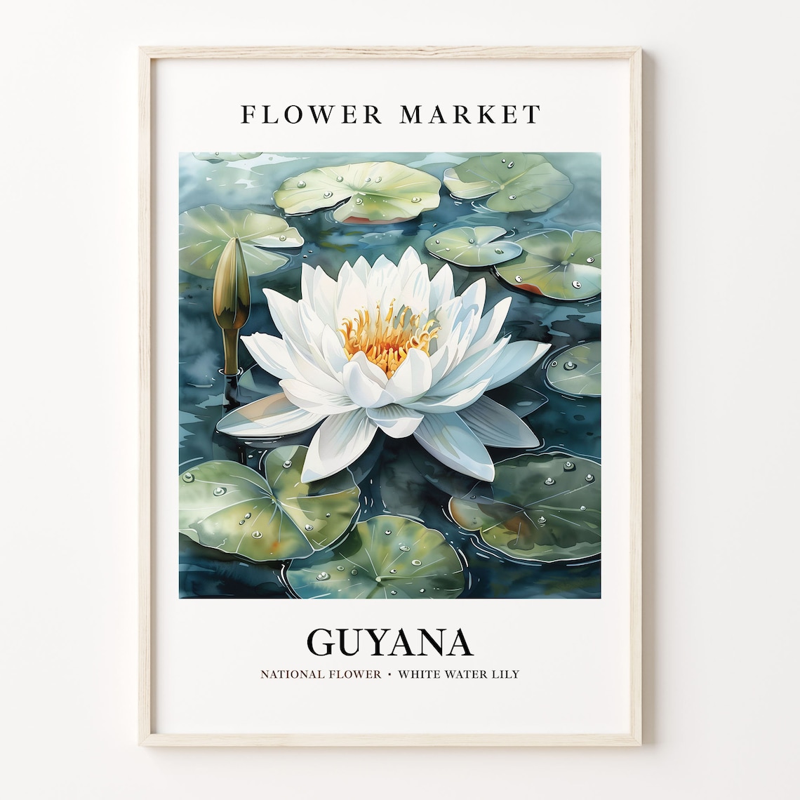 Guyana White Water Lily National Flower Market Botanical Art Poster