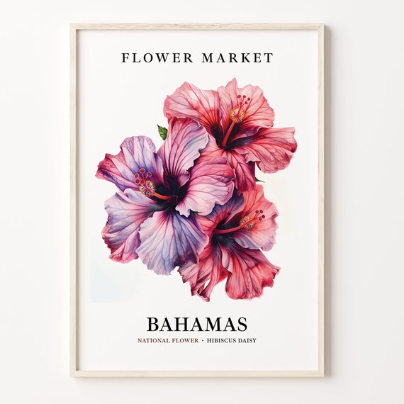 Bahamas Flower Market Art Print Hibiscus Daisy Wall Art Botanical Pastel Artwork Bahamas Flower Decor C31 315