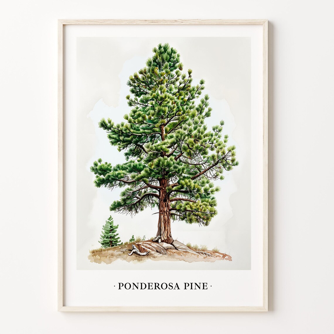 Ponderosa Pine Tree Art Print, Nature Home Decor