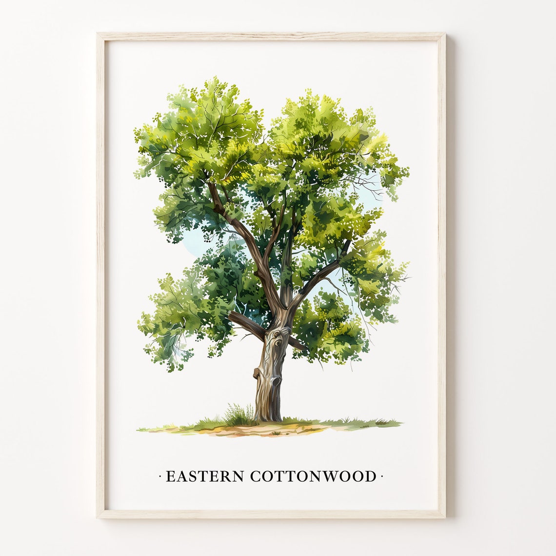 Eastern Cottonwood Tree Watercolor Botanical Wall Decor Poster