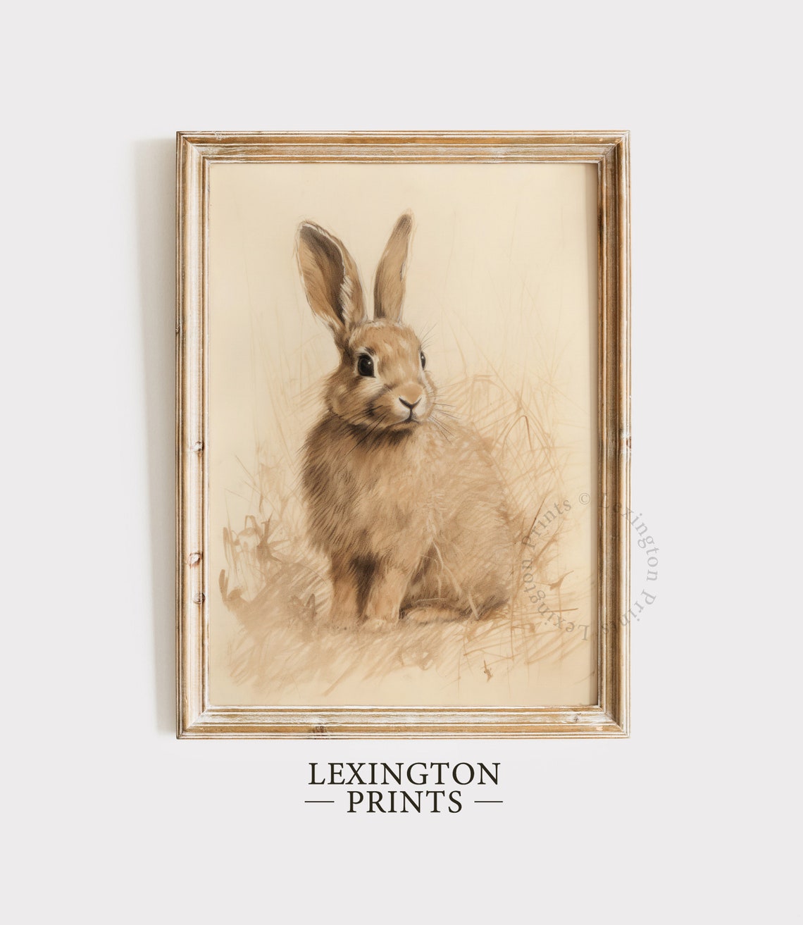 Brown Rabbit Meadow Sketch Vintage Wildlife Drawing Style Poster - Image 5