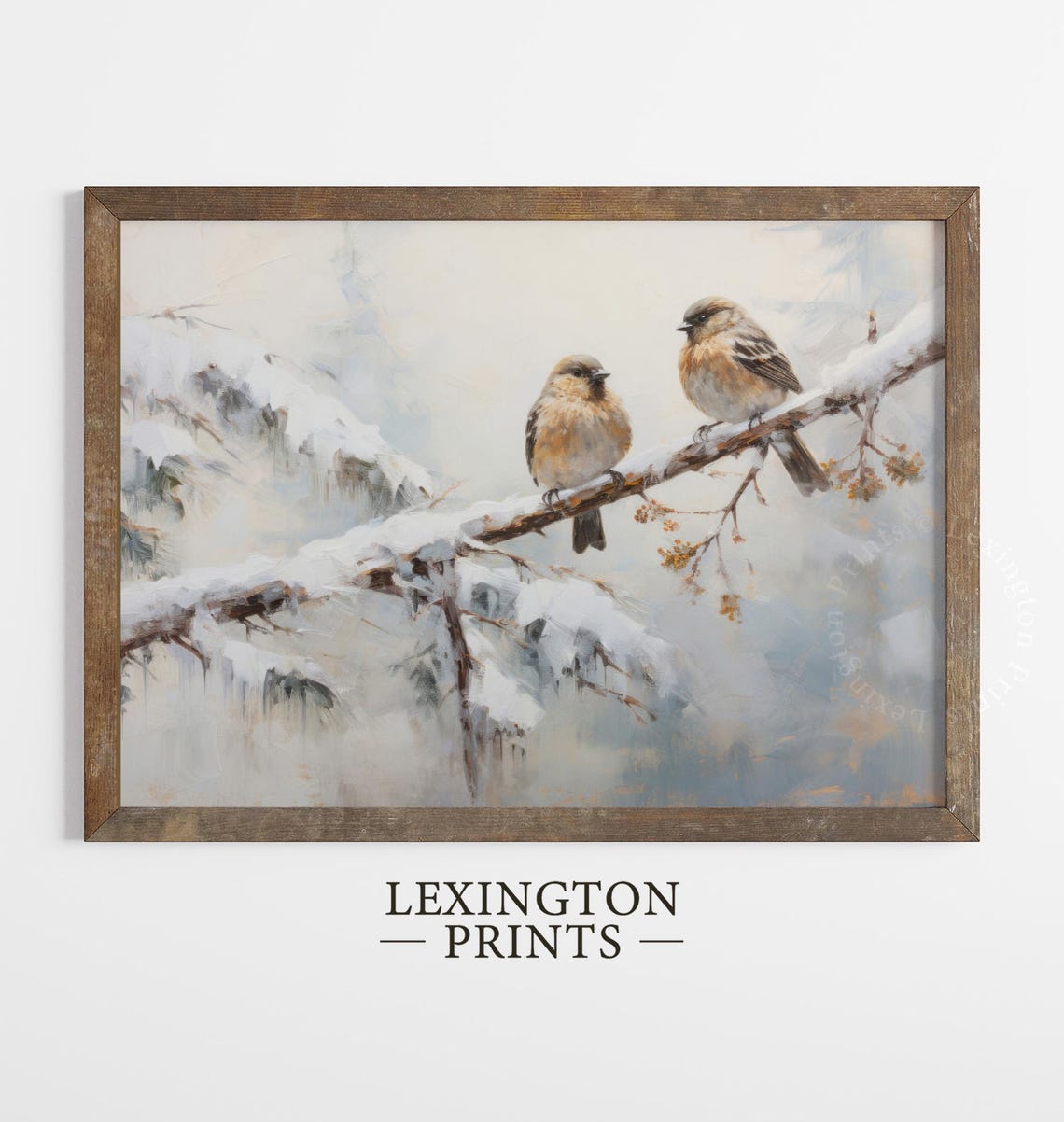 Two Fluffy Songbirds Resting on Snowy Pine Branch Winter Poster