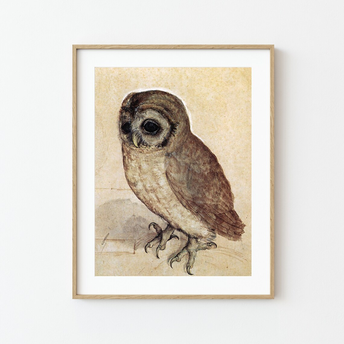 Little Owl by Albrecht Durer, Antique Bird Art Print