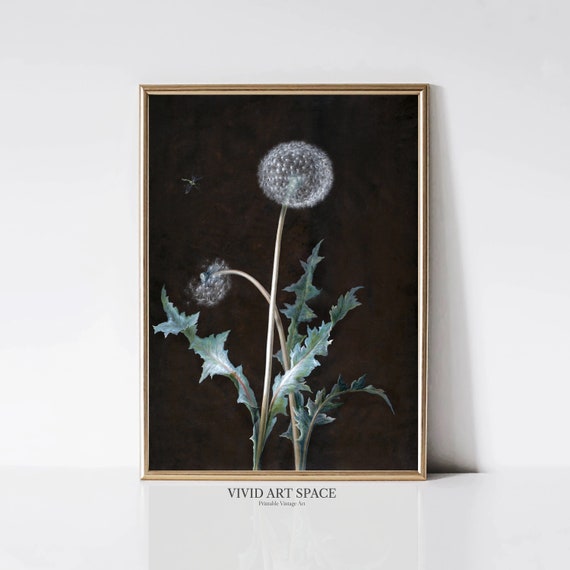 Dandelion Painting Dark Botanical Print Dark Academia Decor Vintage Art Print Plant Poster Printable Wall Art