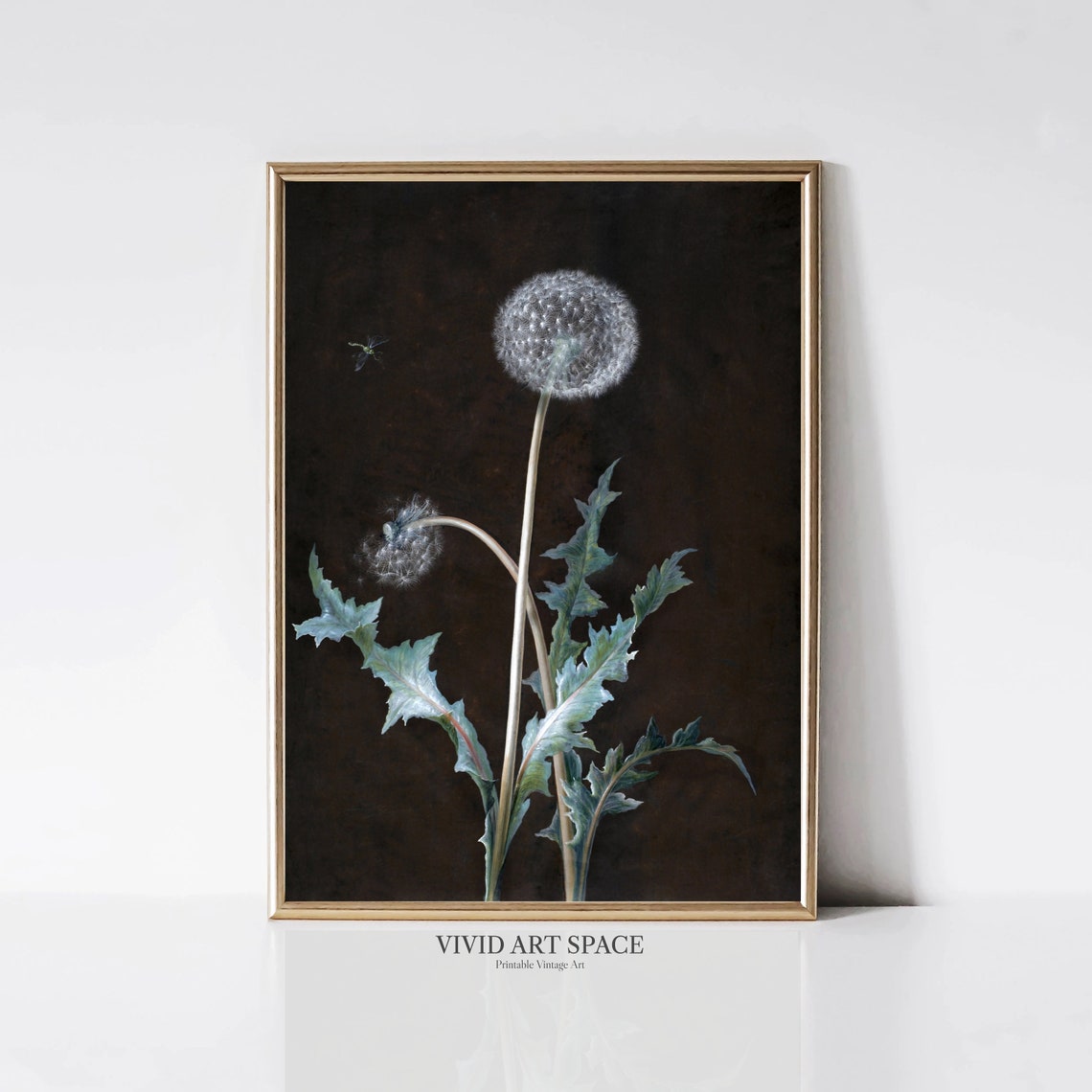 Dandelion Seed Head on Dark Moody Botanical Still Life Art Poster