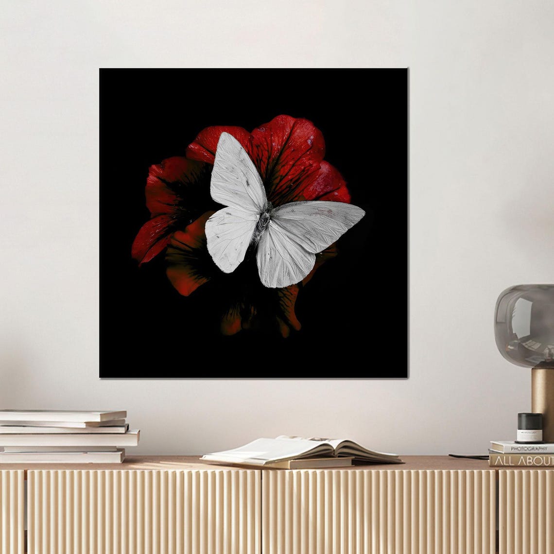White Butterfly On Red Flower Against Black Background Poster