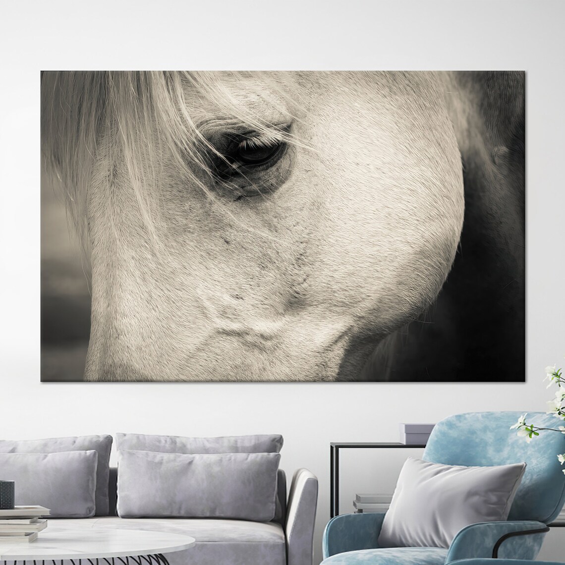 White Horse Eye Close Up Monochrome Equine Portrait Photography Poster