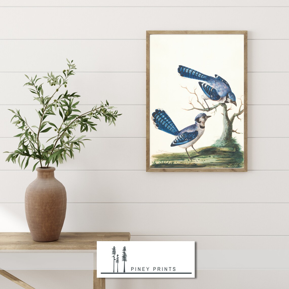 Vintage Pair Of Blue Jays Perched On Branch Nature Illustration Print - Image 3