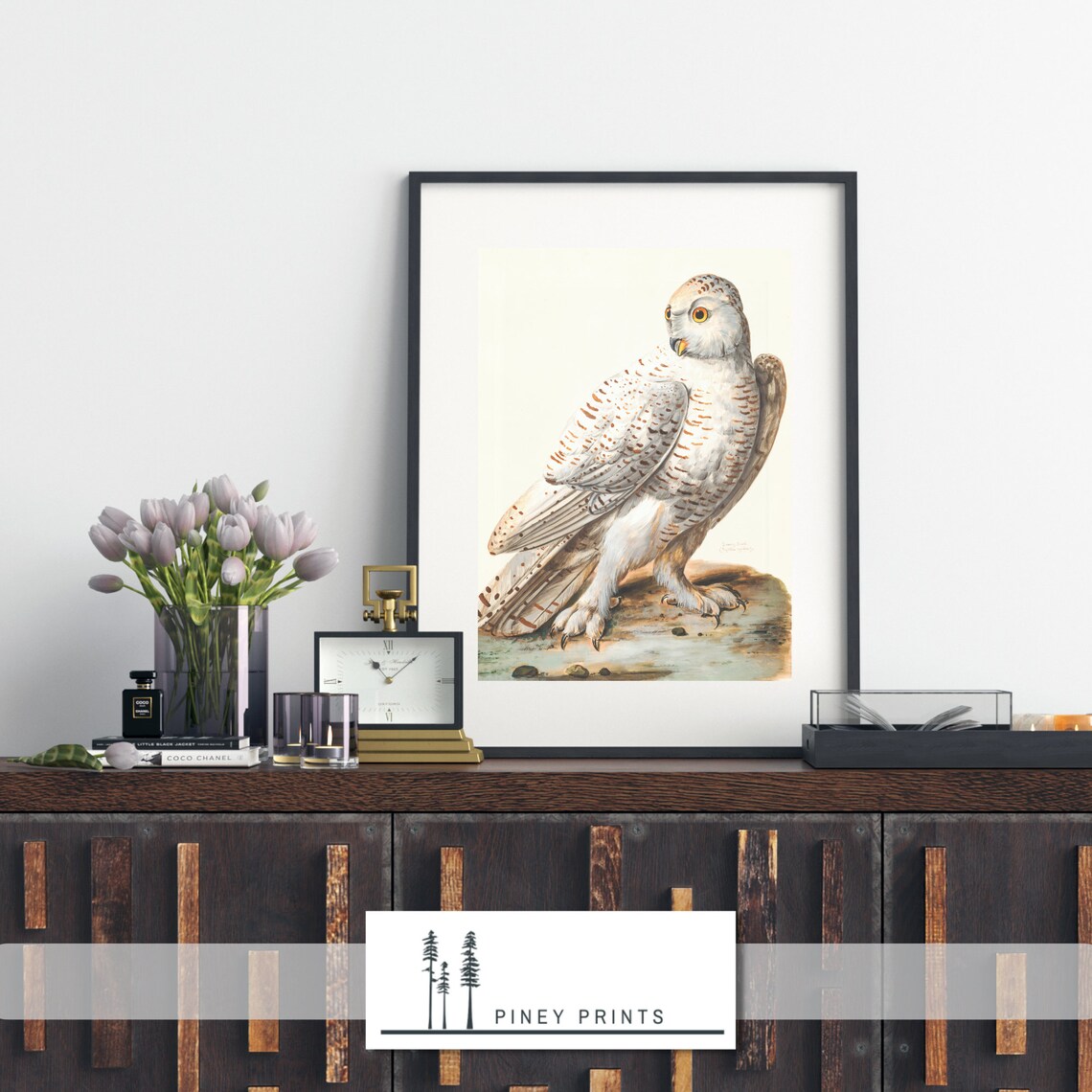 Snowy Owl Vintage Wildlife Illustration White Owl Bird Poster - Image 2