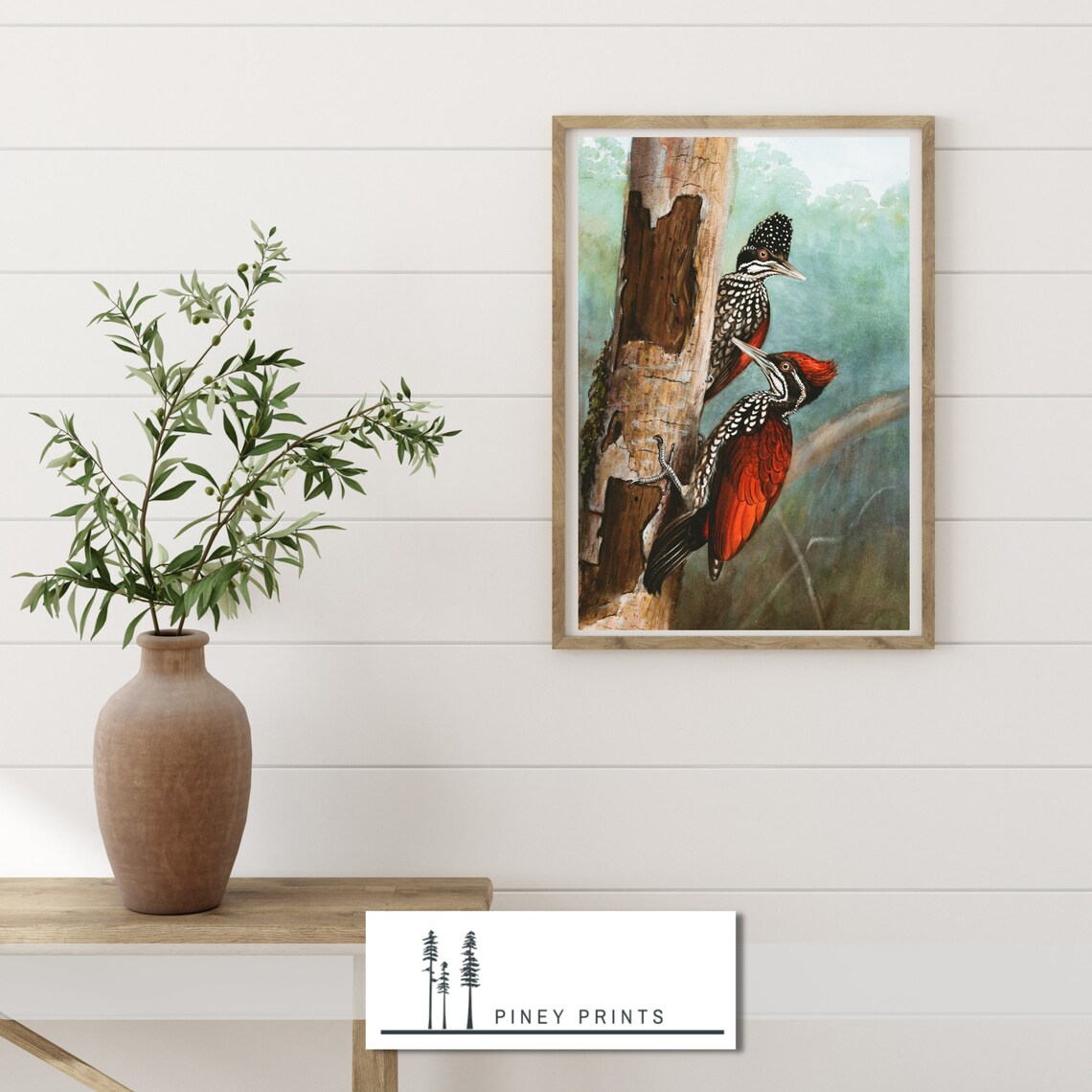 Crimson Backed Woodpecker Pair Vintage Naturalist Bird Painting Poster - Image 4