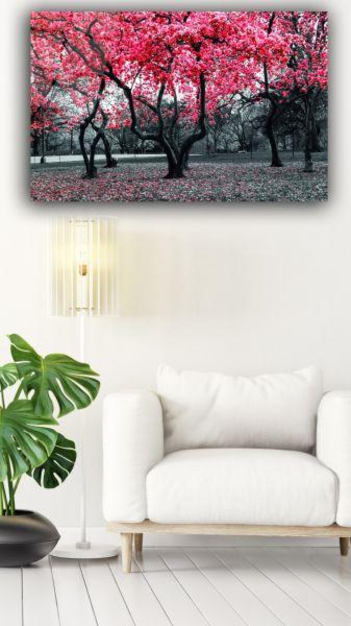 Pink Cherry Blossom Trees In Black And White Park Nature Poster - Image 3