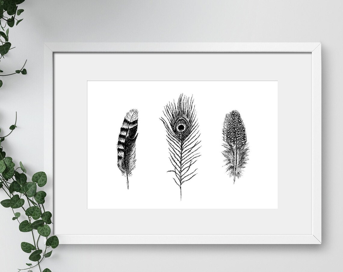 Feather Trio Black And White Botanical Line Illustration Poster