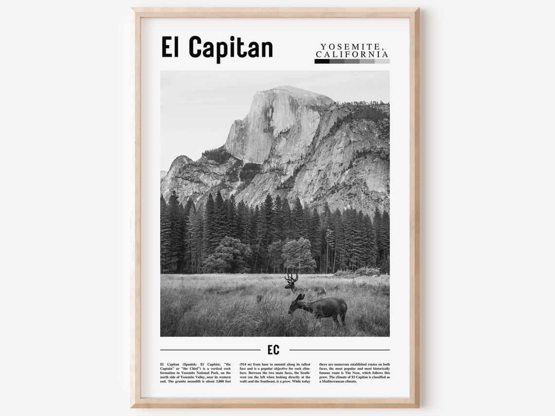 El Capitan Yosemite Black And White Photography Poster Deer Meadow